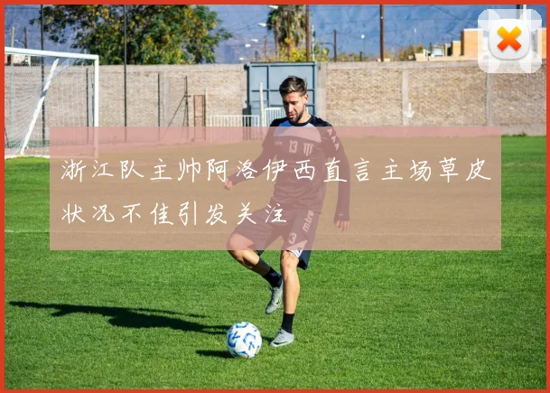 浙江队主帅阿洛伊西直言主场草皮状况不佳引发关注